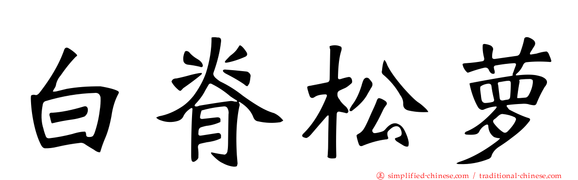 白脊松萝