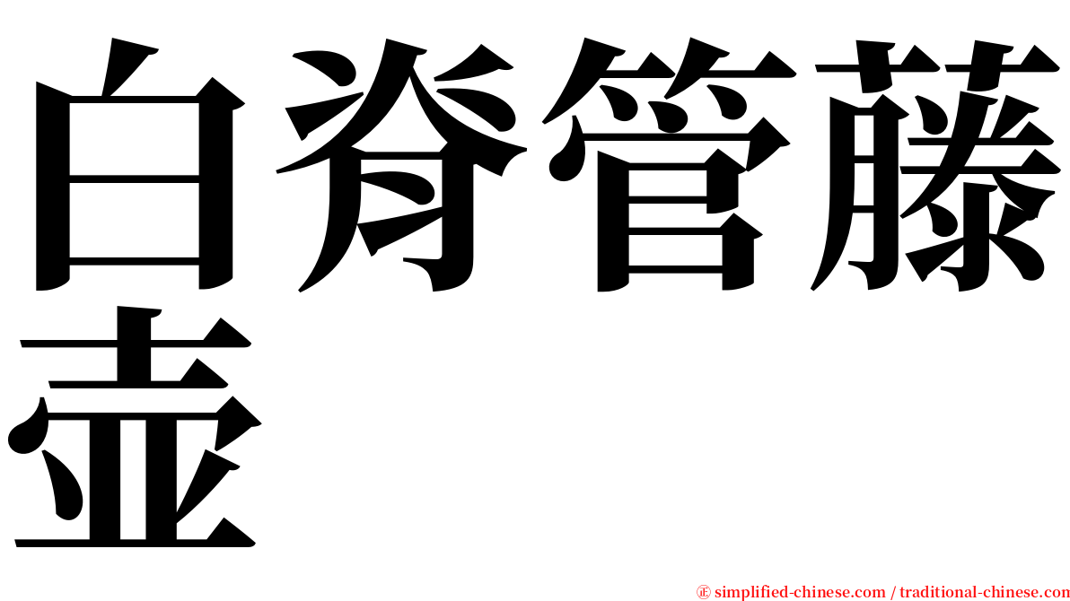 白脊管藤壶 serif font