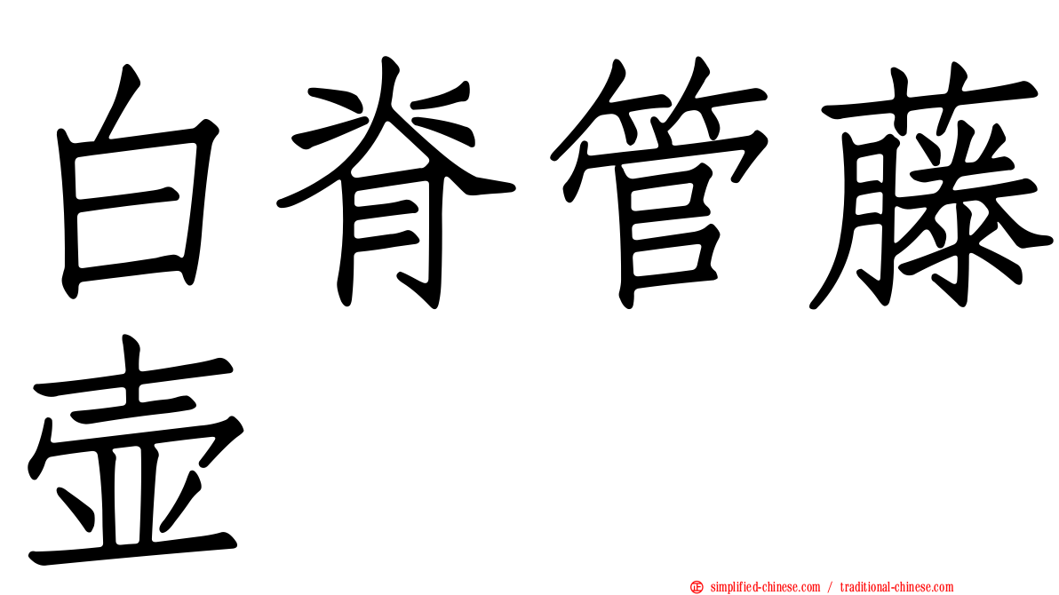 白脊管藤壶