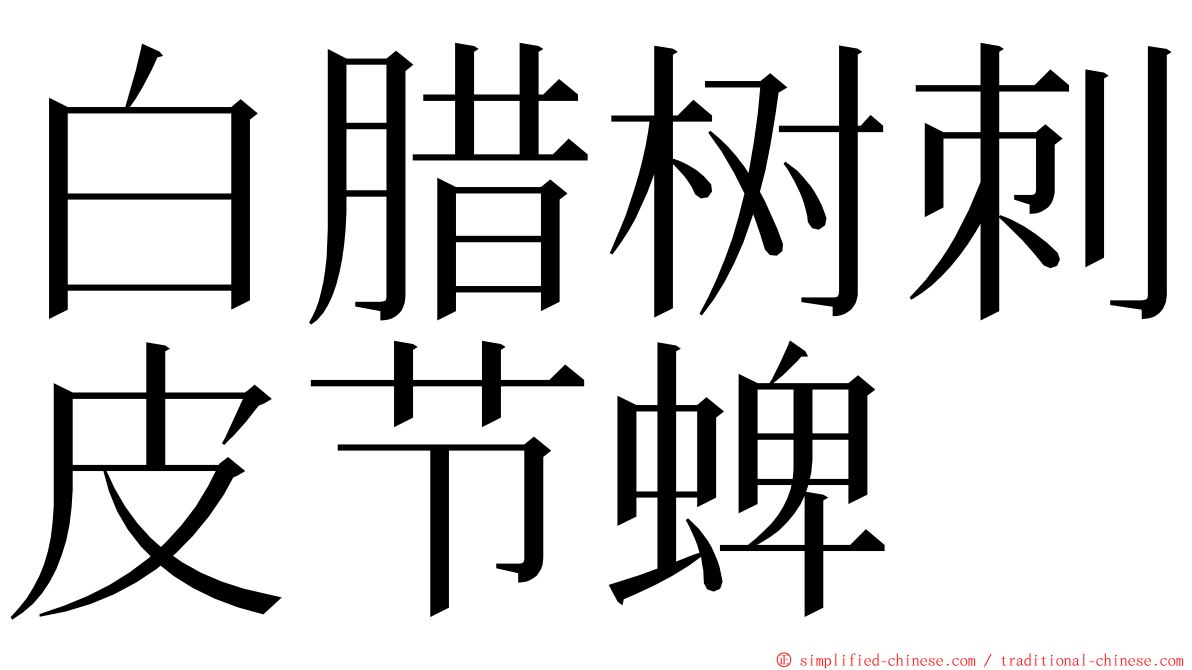 白腊树刺皮节蜱 ming font