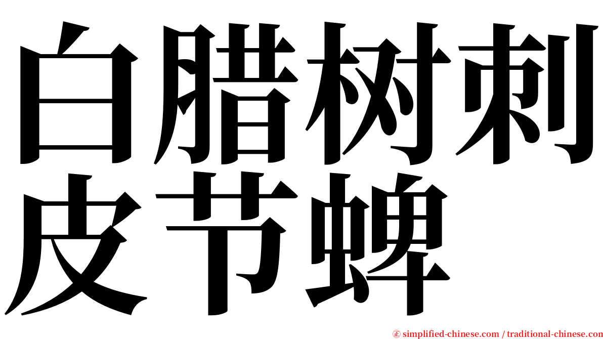 白腊树刺皮节蜱 serif font