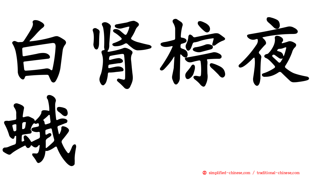 白肾棕夜蛾