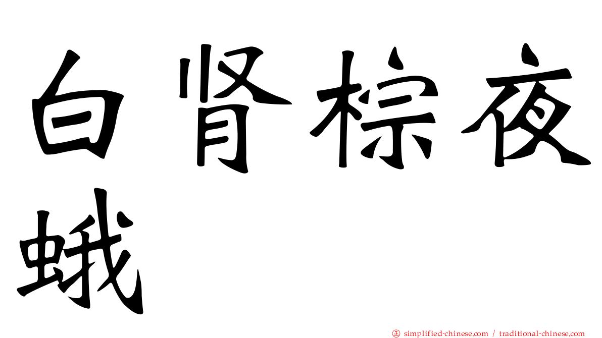 白肾棕夜蛾