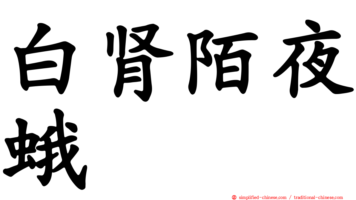 白肾陌夜蛾