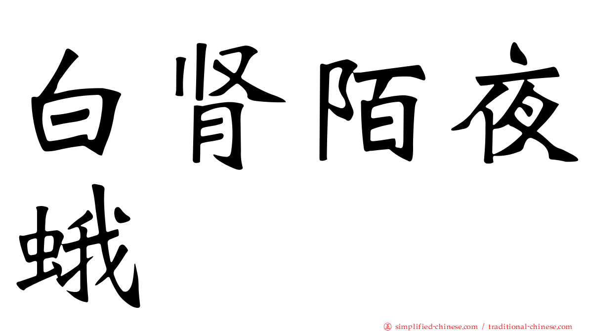 白肾陌夜蛾