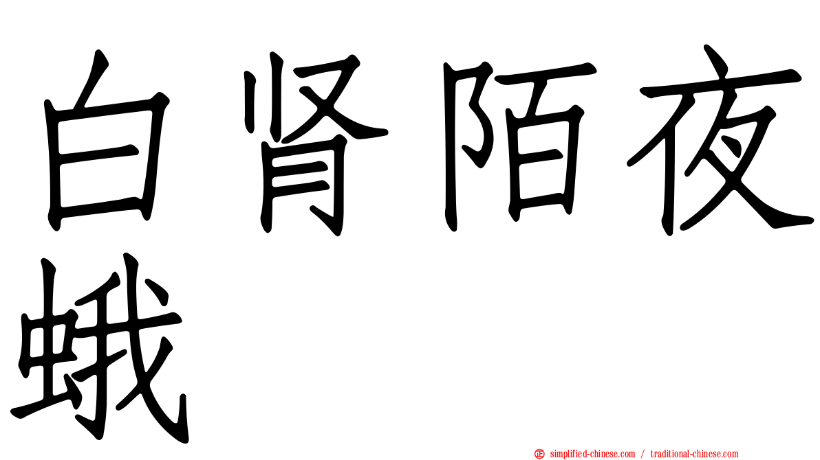 白肾陌夜蛾