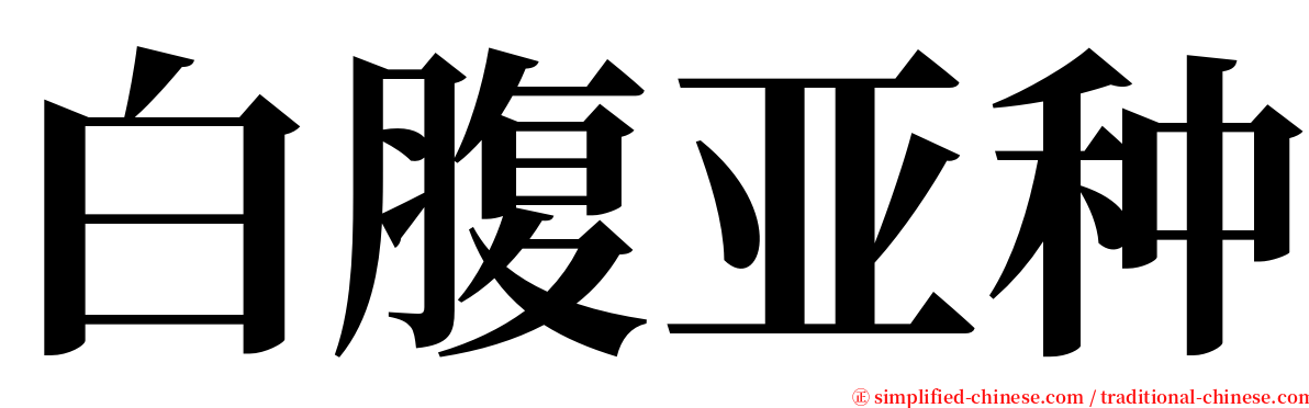 白腹亚种 serif font