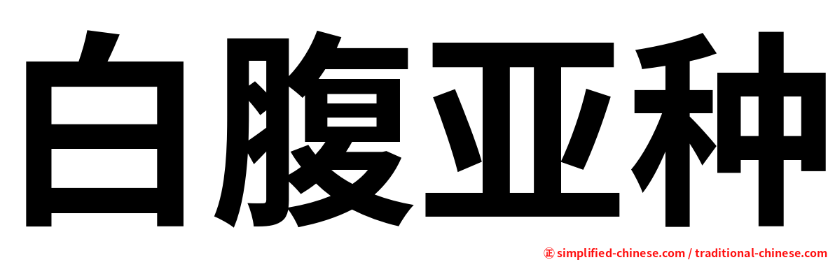 白腹亚种