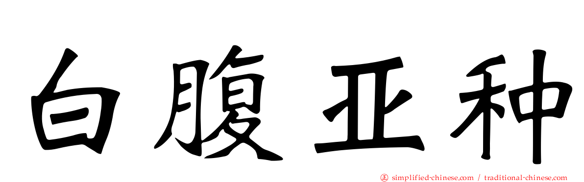 白腹亚种