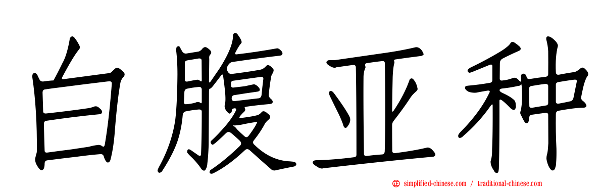 白腹亚种