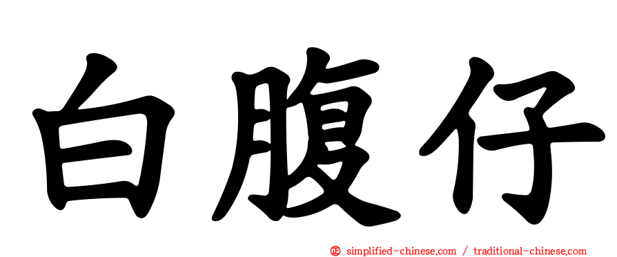 白腹仔
