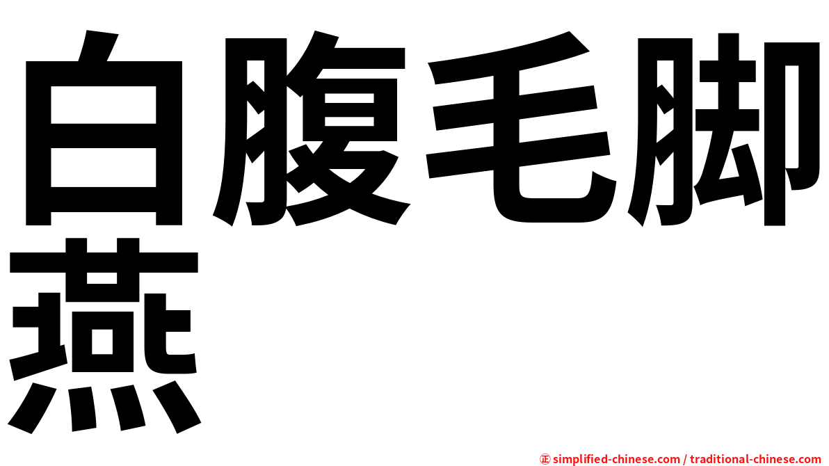 白腹毛脚燕