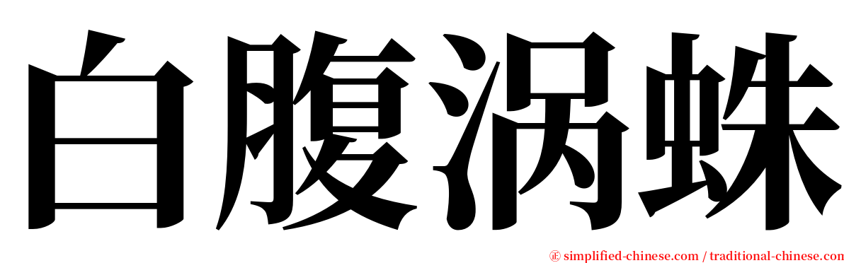 白腹涡蛛 serif font