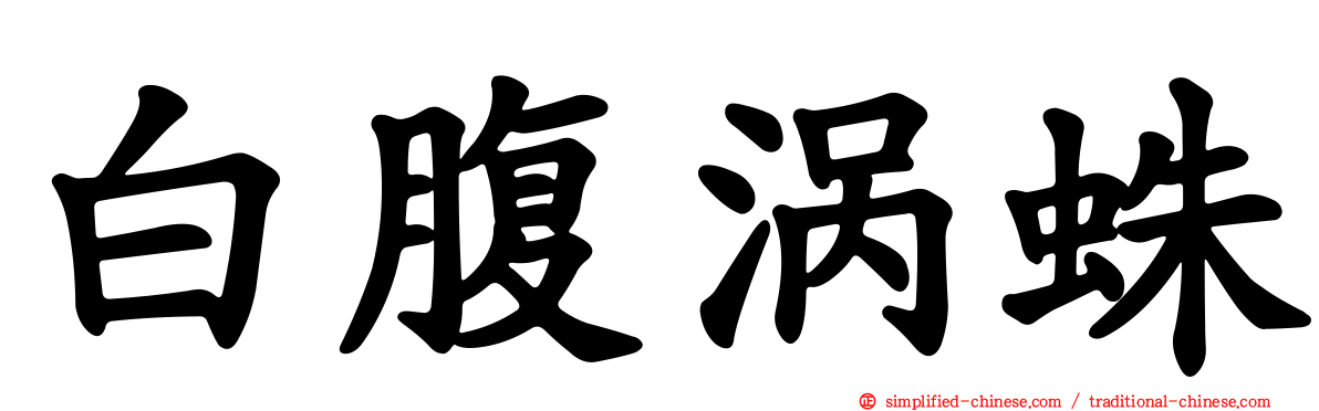 白腹涡蛛