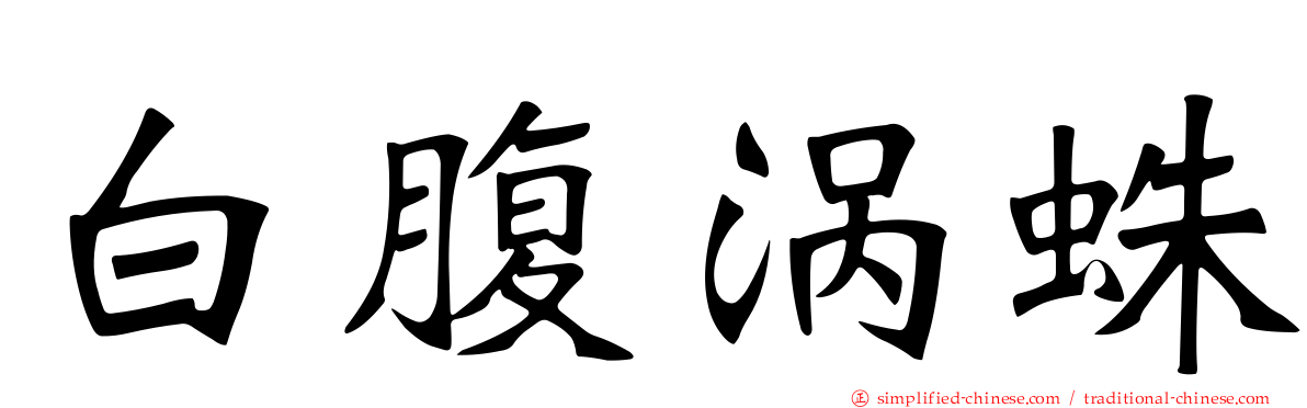 白腹涡蛛