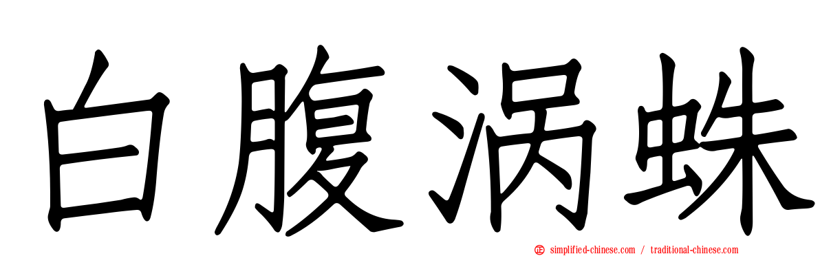 白腹涡蛛