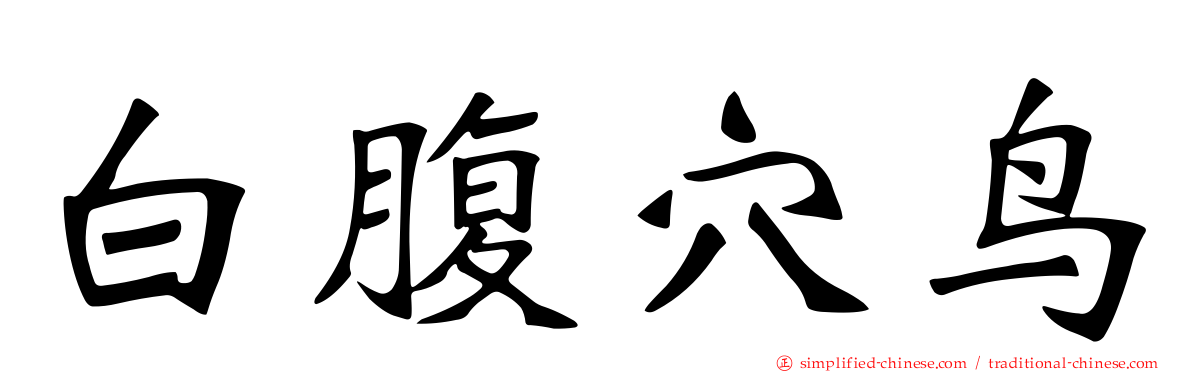 白腹穴鸟