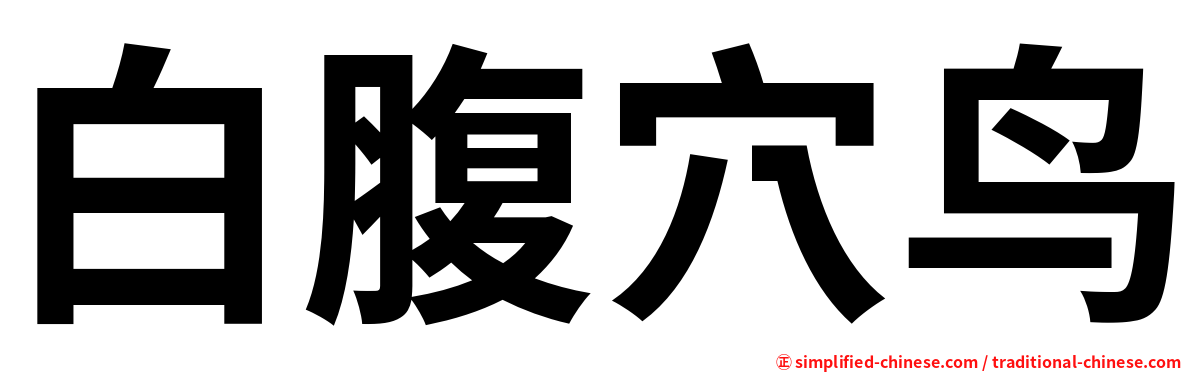 白腹穴鸟