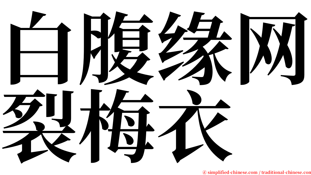 白腹缘网裂梅衣 serif font