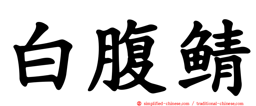 白腹鲭