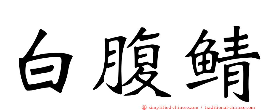 白腹鲭
