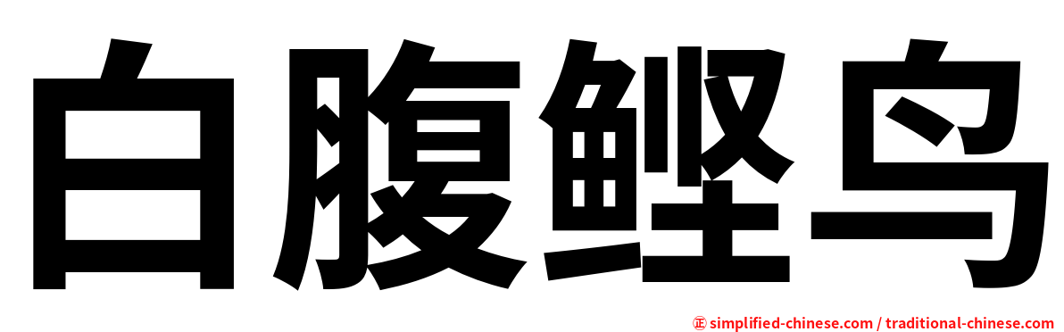 白腹鲣鸟
