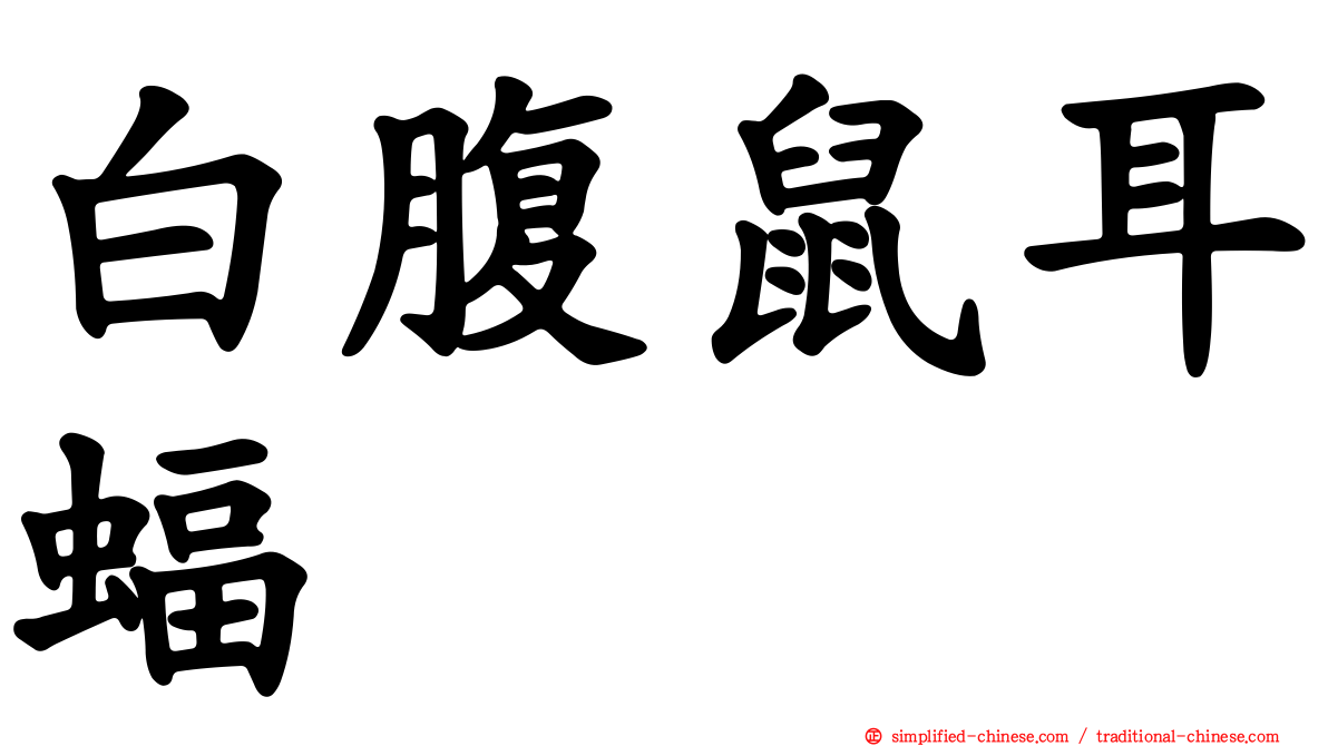 白腹鼠耳蝠