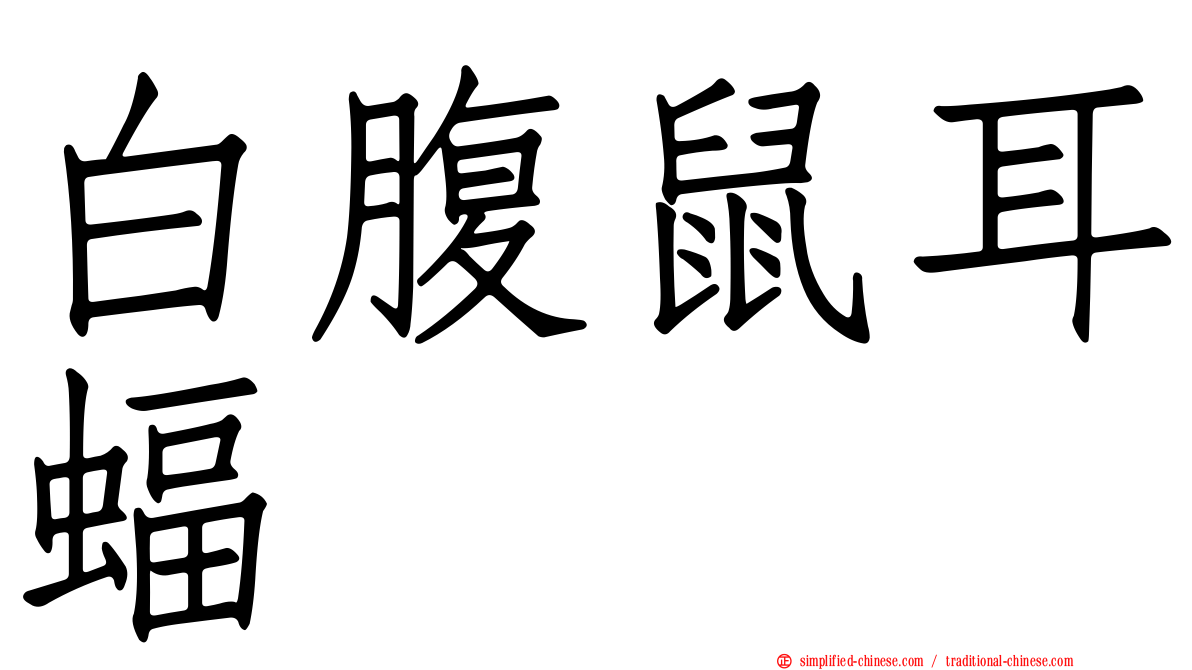白腹鼠耳蝠