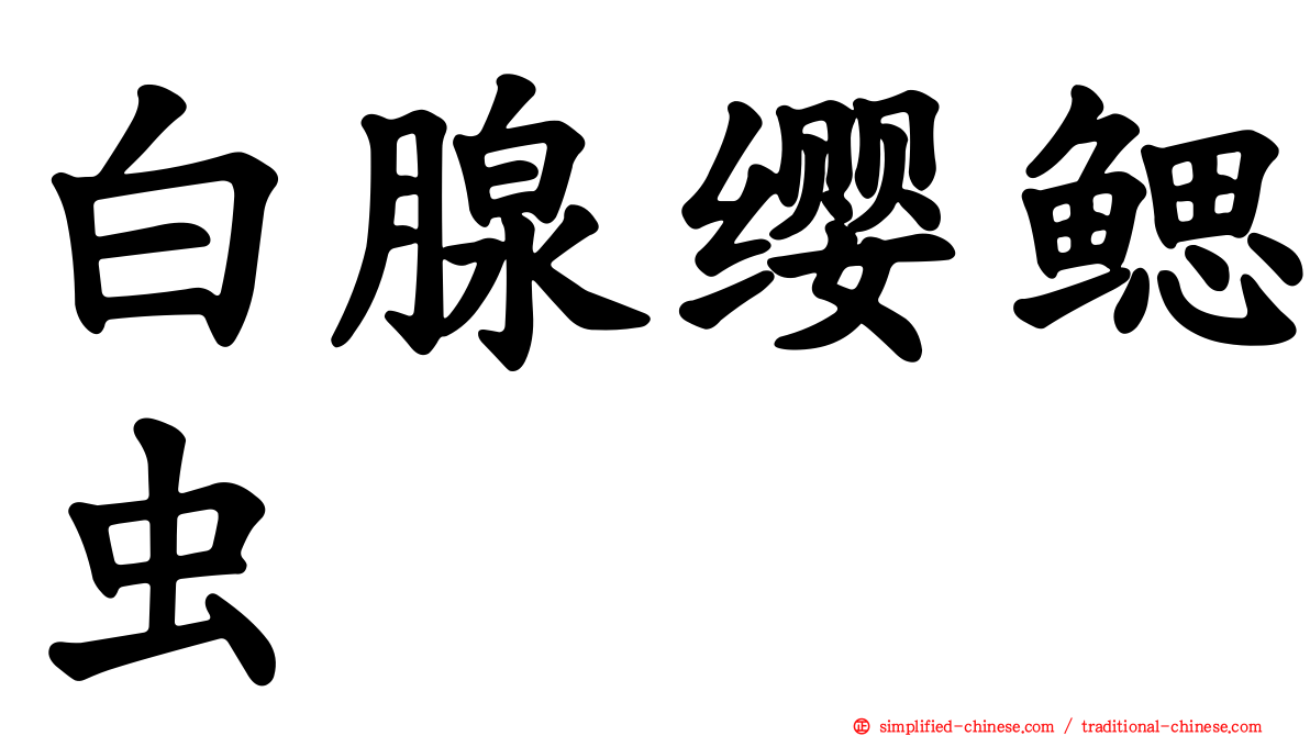 白腺缨鳃虫