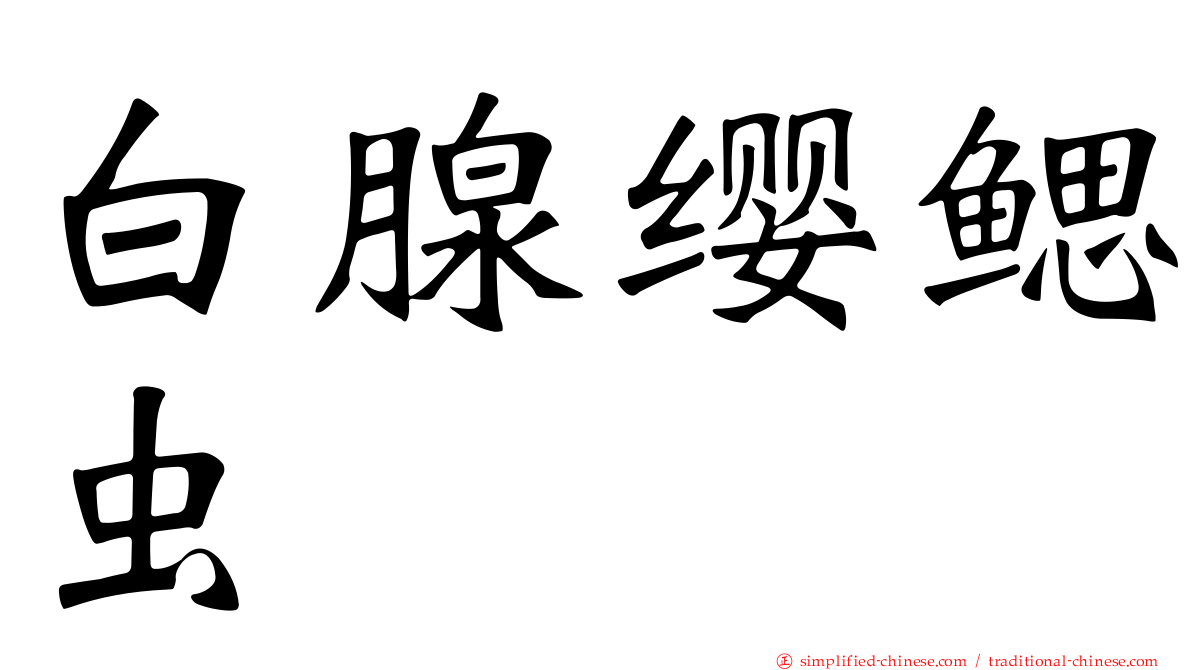 白腺缨鳃虫