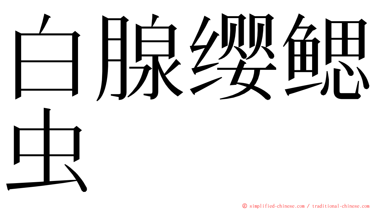 白腺缨鳃虫 ming font
