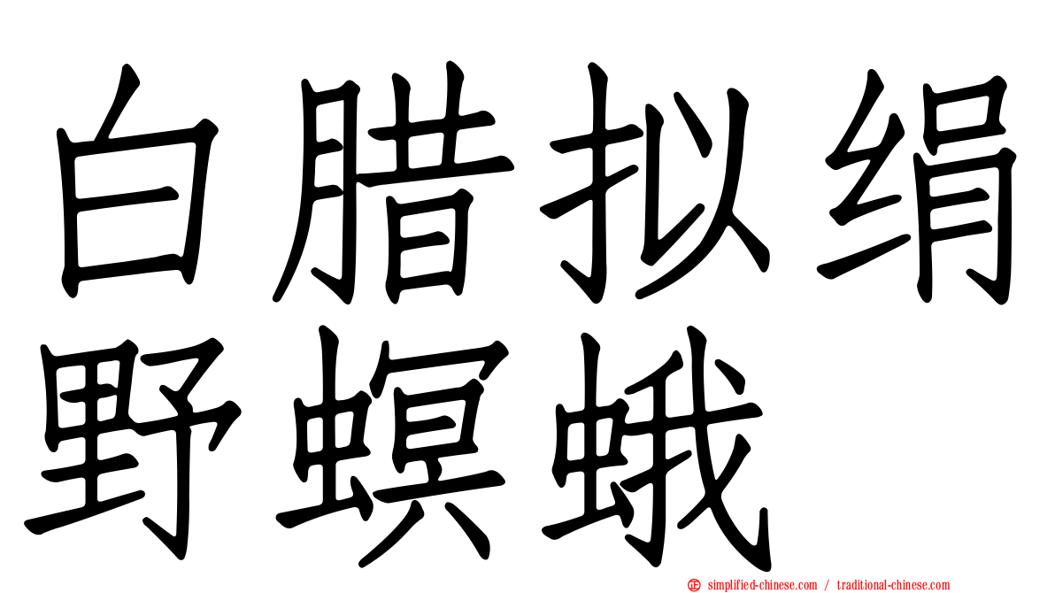 白腊拟绢野螟蛾