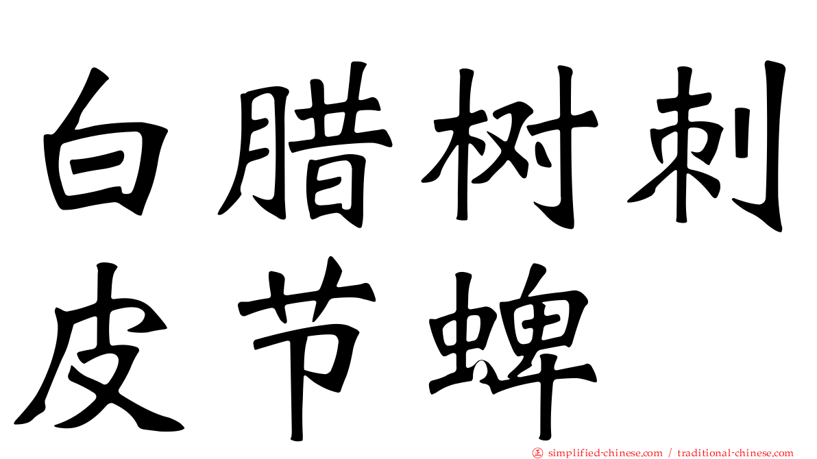 白腊树刺皮节蜱