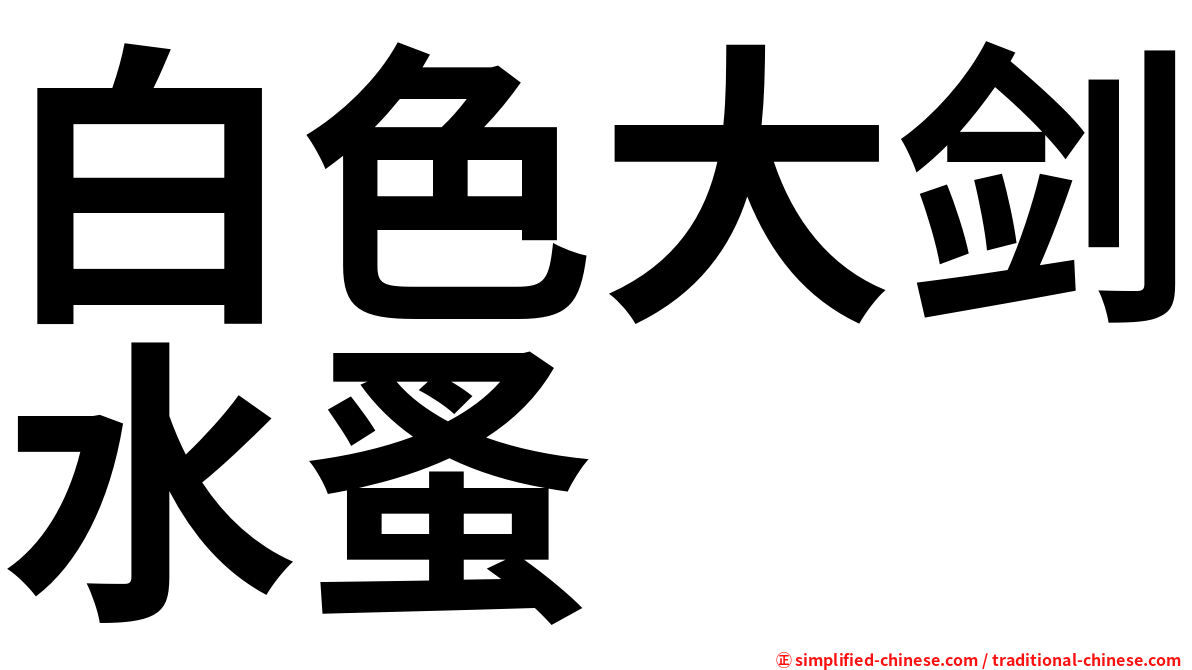白色大剑水蚤