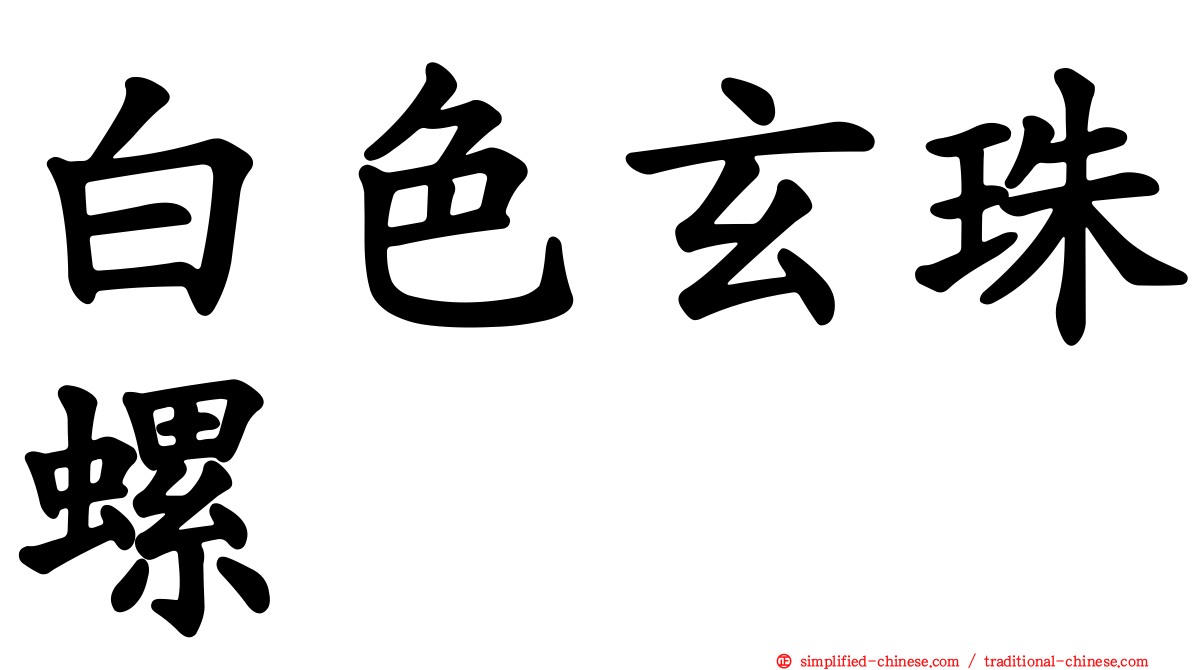 白色玄珠螺