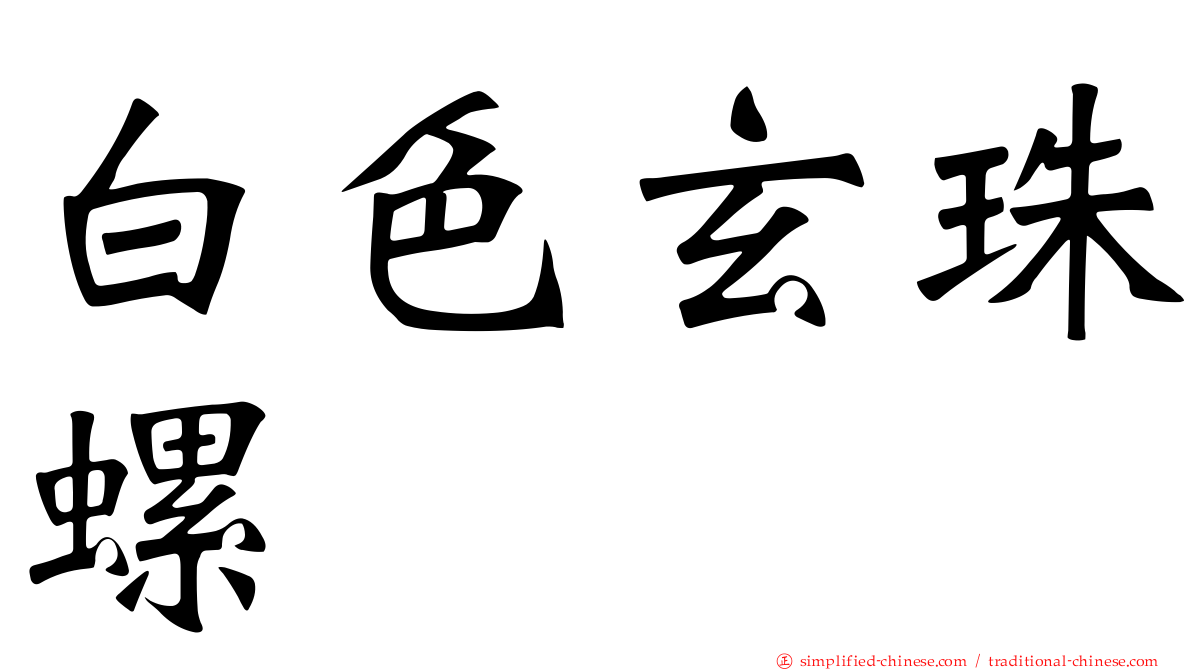 白色玄珠螺