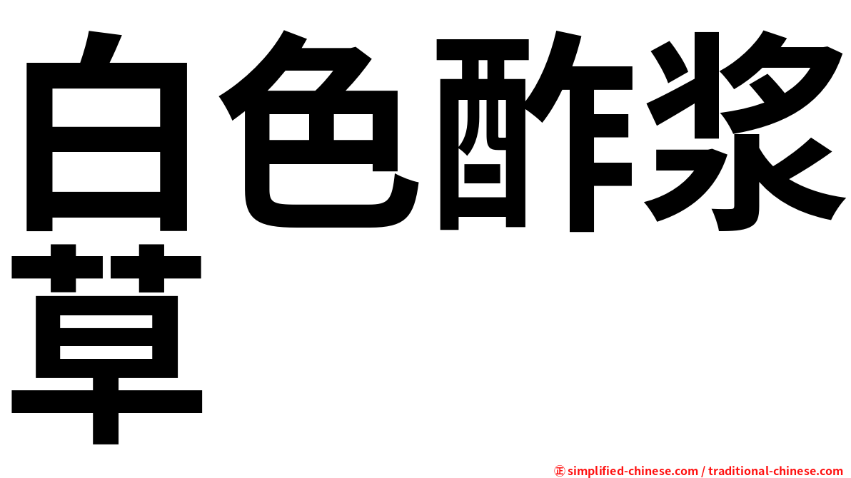 白色酢浆草