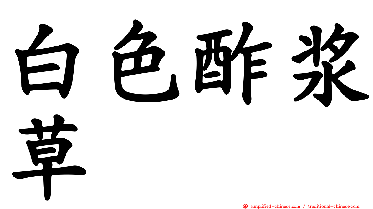白色酢浆草