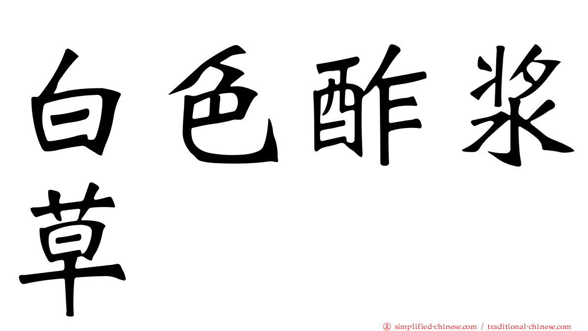 白色酢浆草
