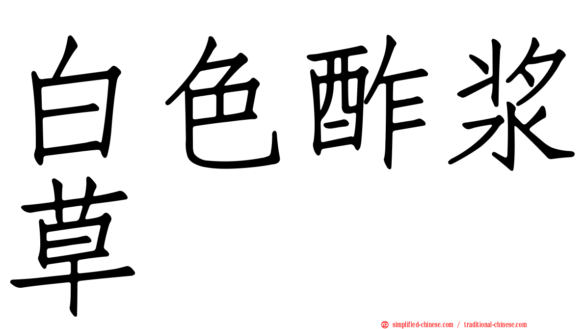 白色酢浆草