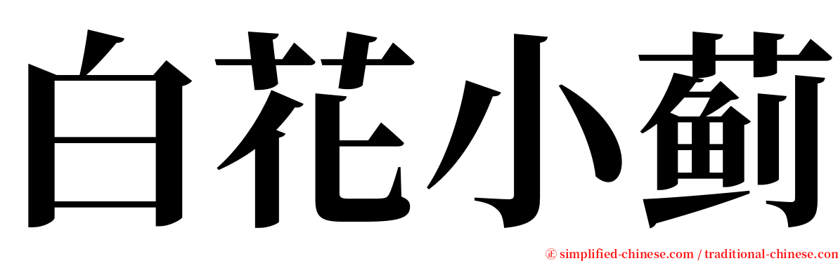 白花小蓟 serif font