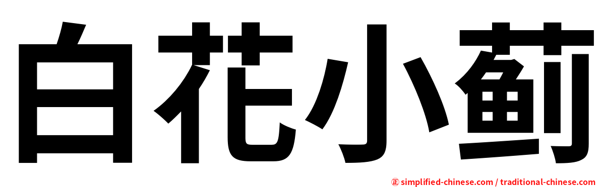 白花小蓟