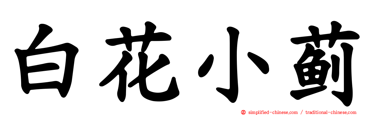 白花小蓟