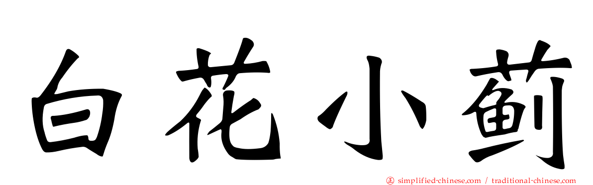 白花小蓟