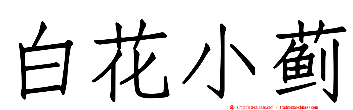白花小蓟