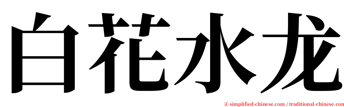 白花水龙 serif font