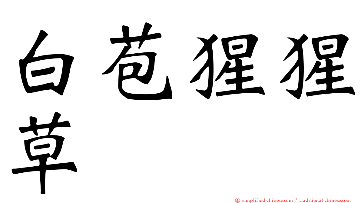 白苞猩猩草