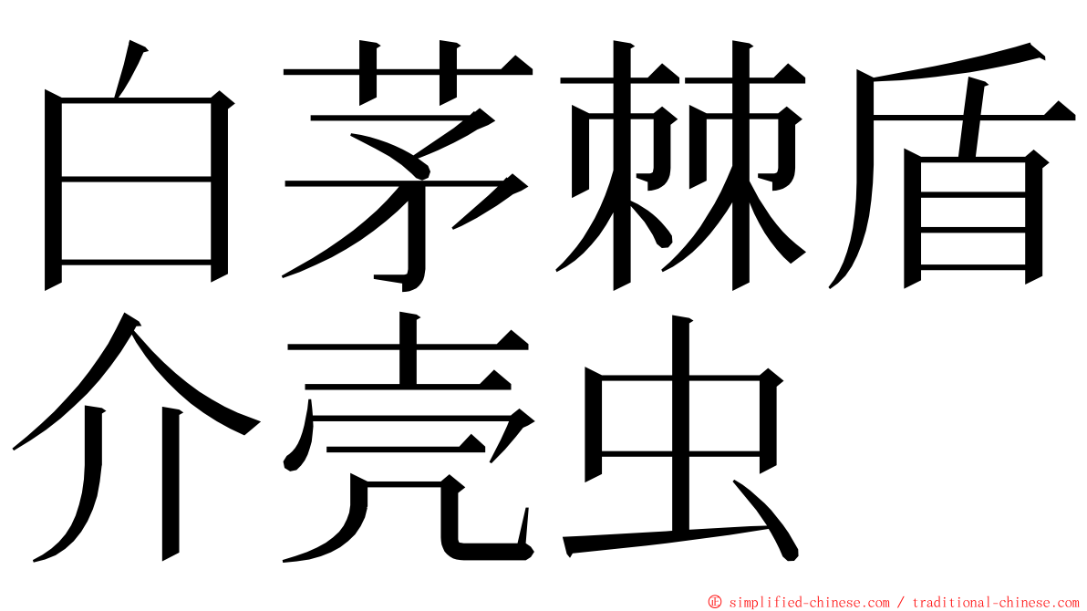 白茅棘盾介壳虫 ming font