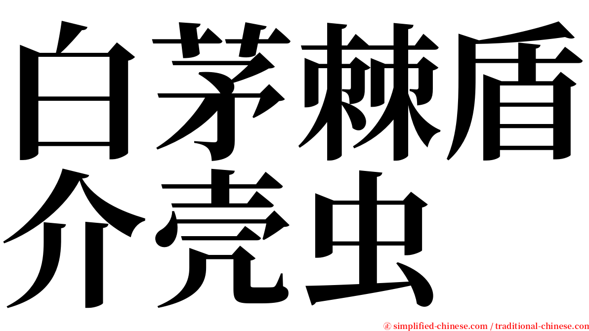 白茅棘盾介壳虫 serif font