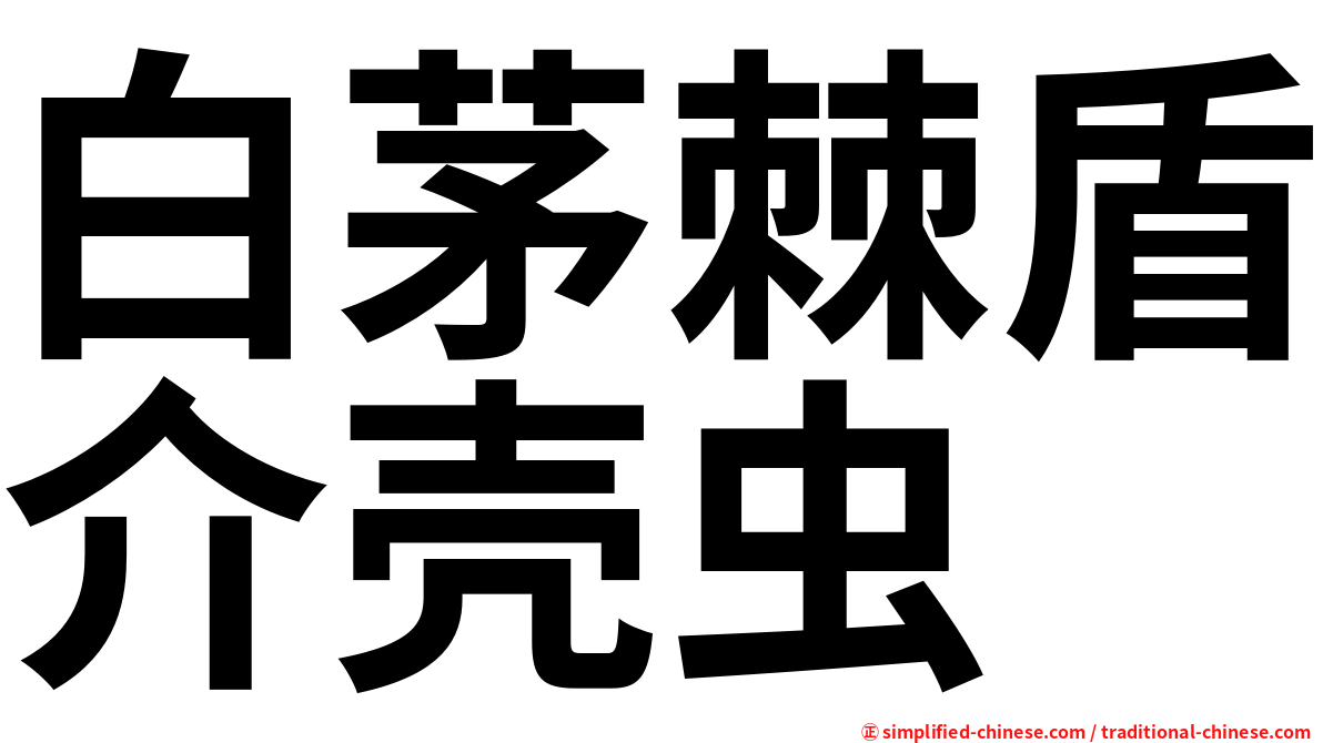 白茅棘盾介壳虫